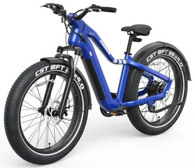 OKAI RANGER EB50 Fat Tire